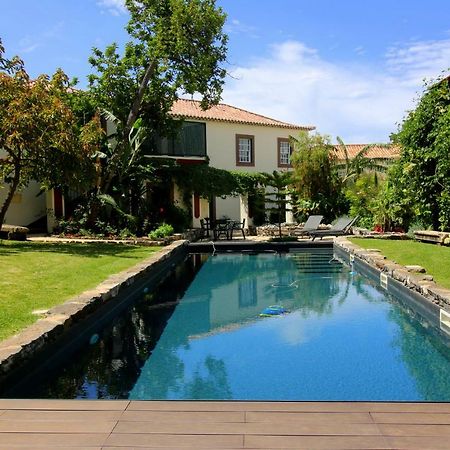Quinta Araucaria Funchal Lägenhet Funchal  Exteriör bild